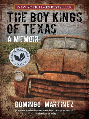 cover image of Boy Kings of Texas